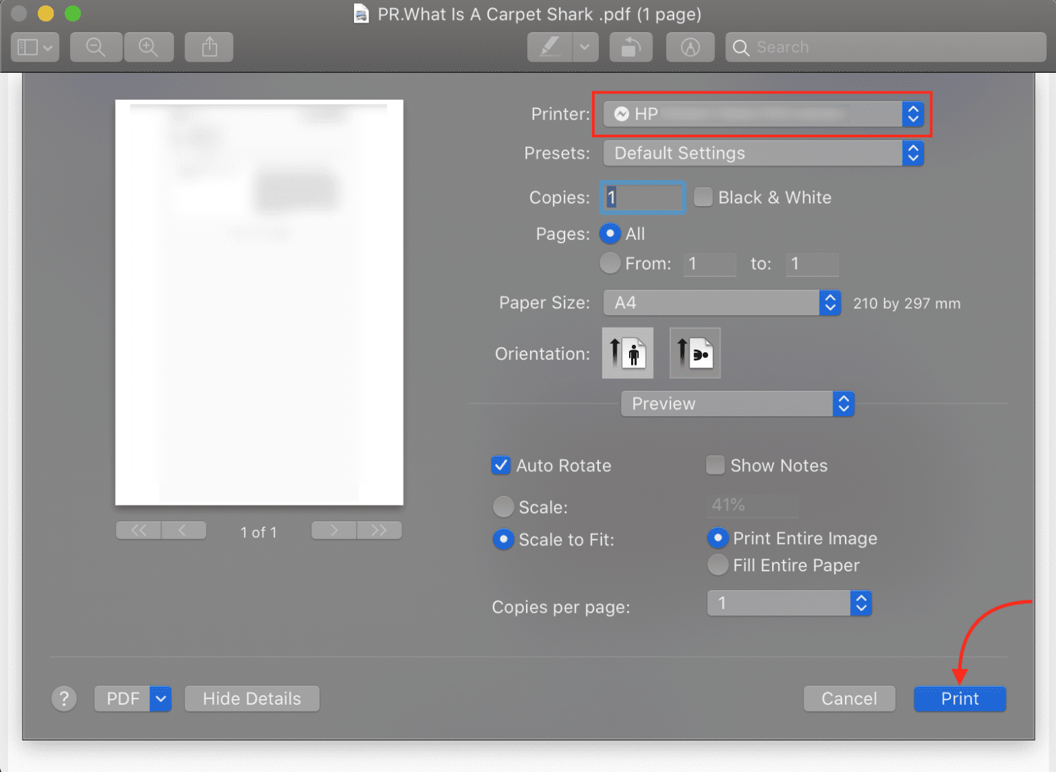 How to Set Up an AirPrint Server on Your Raspberry Pi