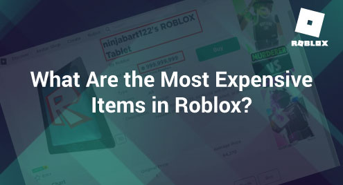 I FOUND THE MOST EXPENSIVE ROBLOX ITEM YOU CAN BUY! (NOT CLICKBAIT