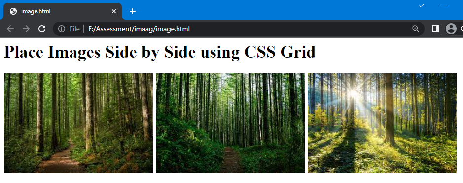 How to align images side by side with CSS? - Studytonight