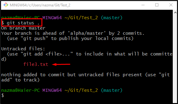 How to Untrack Files From Git Temporarily 6