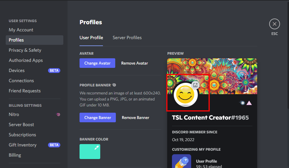 How to Set up Animated Avatar in Discord Nitro