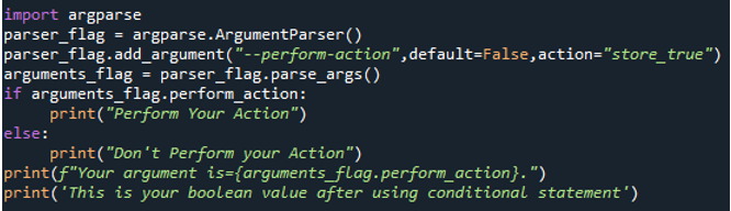 Python Argparse Boolean Flag