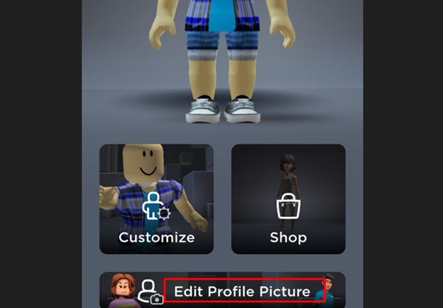 Create a custom profile picture for your roblox avatar by Blade661