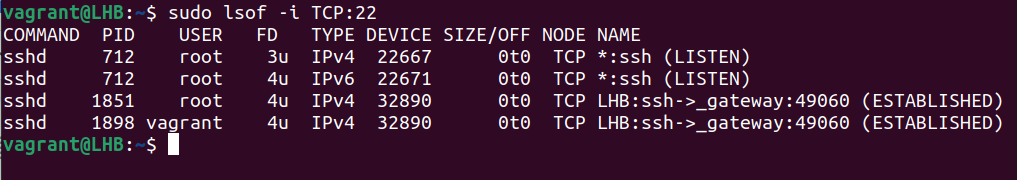 Compruebe qué proceso está usando un puerto en Linux