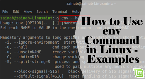env command in Linux with Examples - GeeksforGeeks