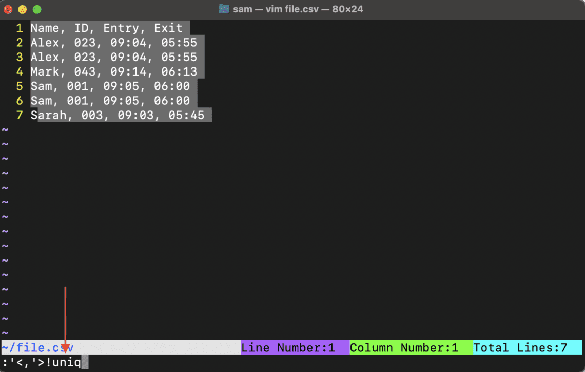 How to Remove Duplicate Lines in Vim – Linux Hint