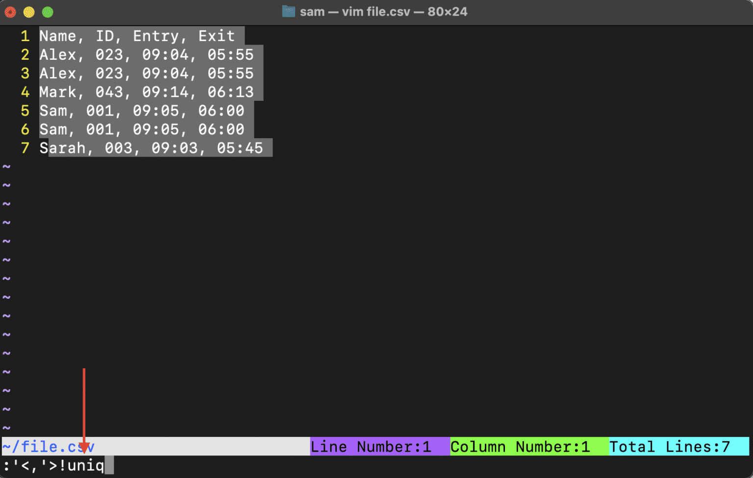How to Remove Duplicate Lines in Vim – Linux Hint