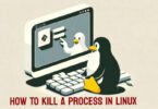 how-to-kill-a-process-in-linux