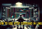 how-to-use-htop-command-in-linux