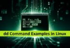 feature-image-of-article-how-to-use-the-dd-command-in-linux