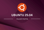 Ubuntu Plucky Puffin Linux