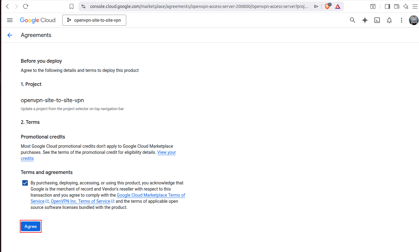 Terms and agreements checkbox and Agree button for OpenVPN Access Server