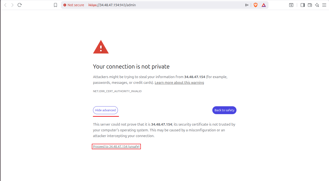 Browser privacy error warning due to self-signed certificate with Advanced button and proceed link