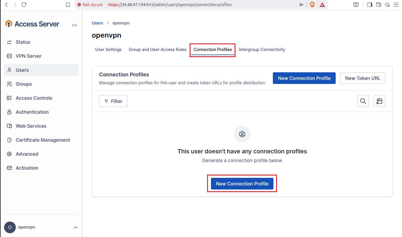 Connection Profiles tab with New Connection Profile button