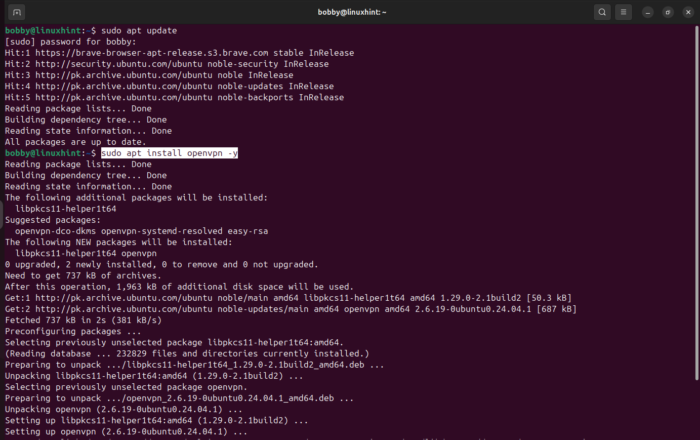Terminal showing installation of OpenVPN client via sudo apt install openvpn -y