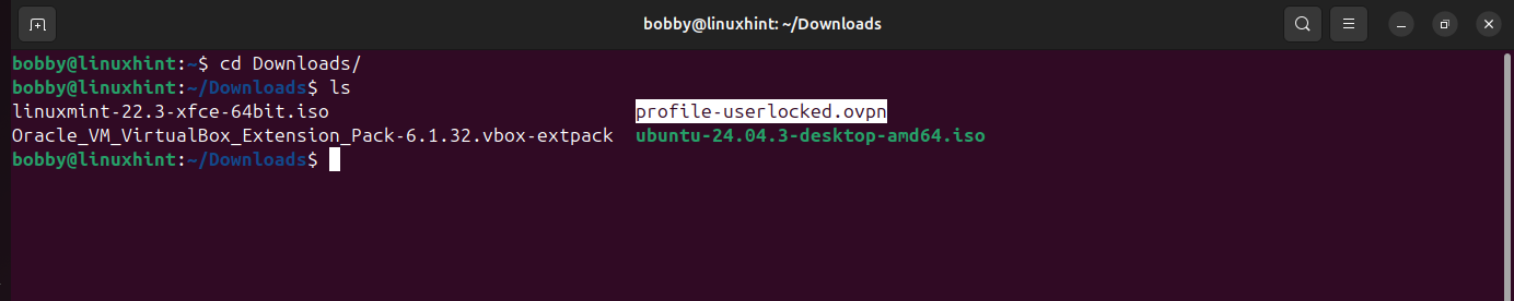 Terminal listing Downloads directory showing profile-userlocked.ovpn file