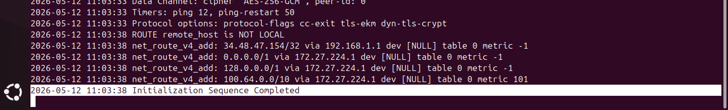Terminal showing Initialization Sequence Completed line indicating successful VPN connection