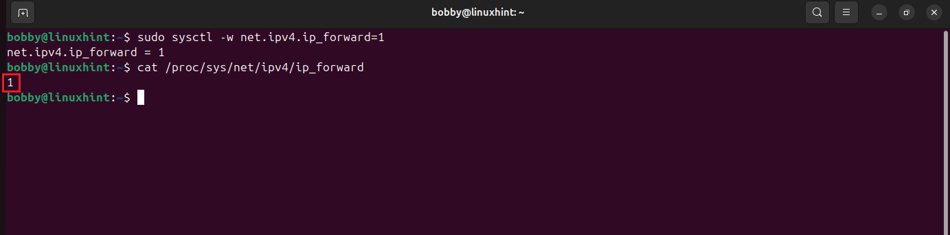 Terminal showing sysctl commands to enable IP forwarding temporarily and verification returning 1