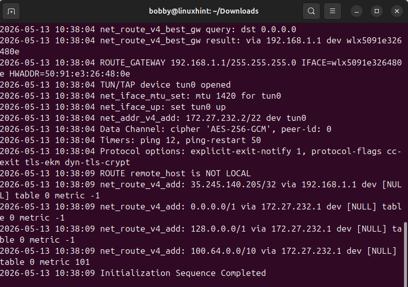 Terminal window showing OpenVPN client running with Initialization Sequence Completed