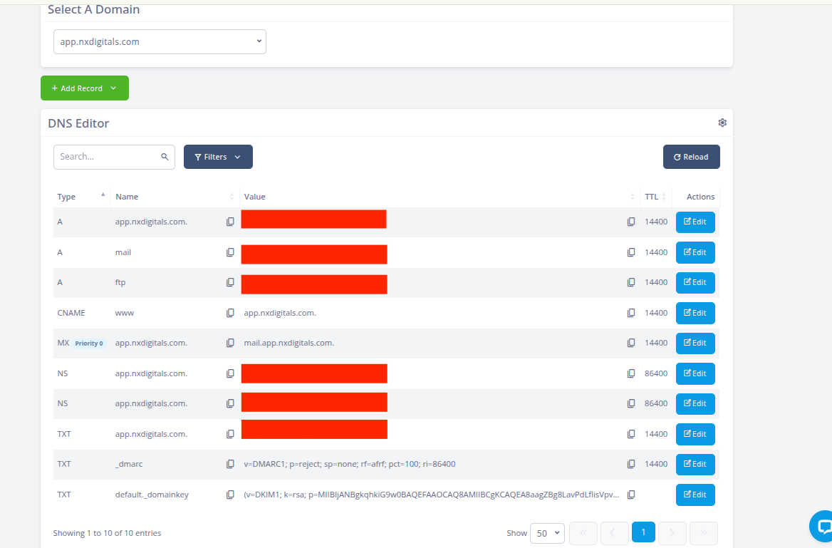 SPanel DNS Editor showing the automatically created DNS records for the application domain.