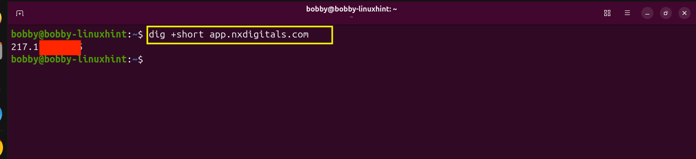 Linux terminal showing the dig command resolving the application domain to the VPS IP address