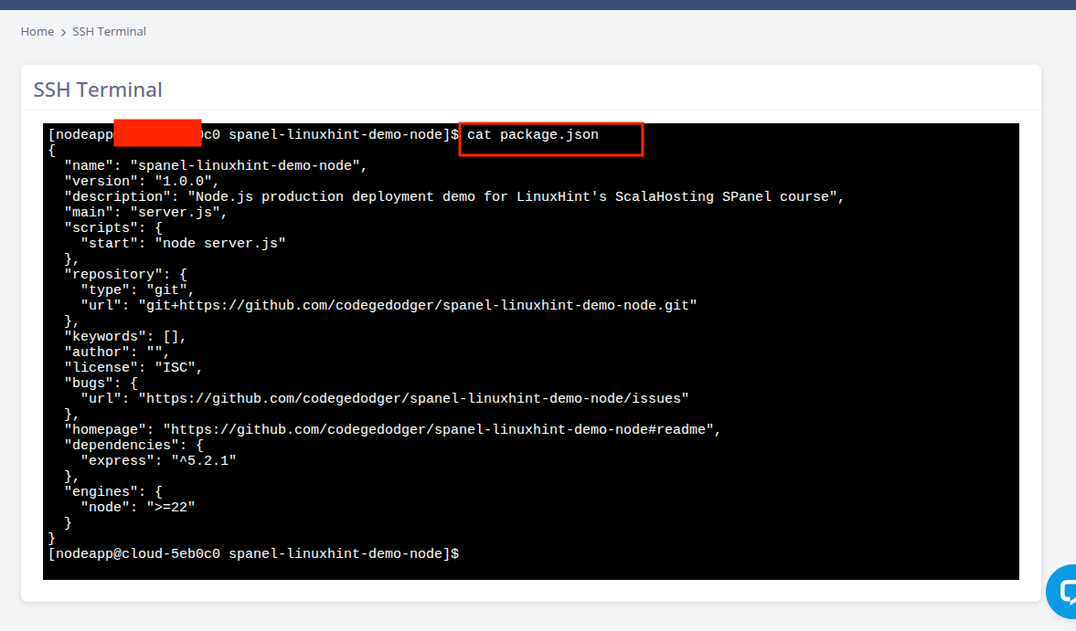 SPanel SSH Terminal displaying the Node.js application’s package.json file.