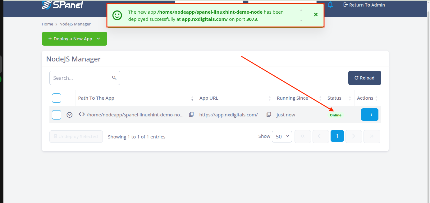 SPanel NodeJS Manager showing the application online on the incorrectly assigned port 3073.