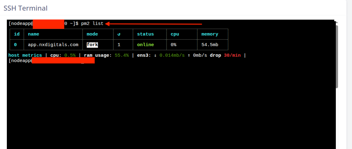 SPanel SSH Terminal showing the Node.js application online in the PM2 process list.