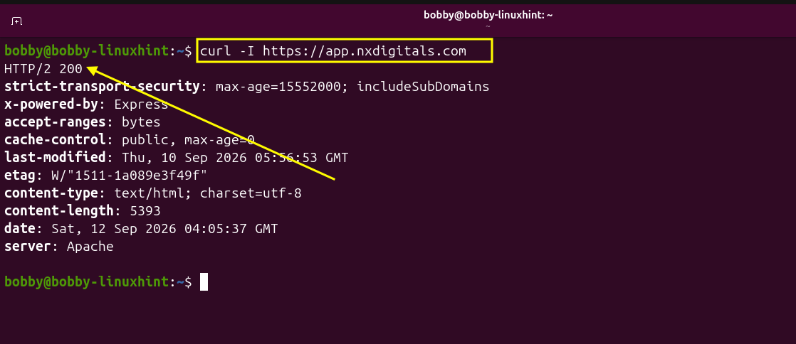 Linux terminal showing a successful HTTP 200 response from the application over HTTPS.