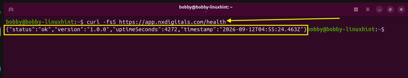 Linux terminal showing the final health check returning an OK status, version, uptime, and timestamp.